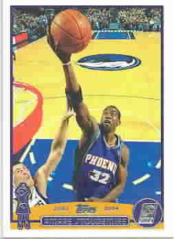 AMARE STOUDEMIRE CARDS